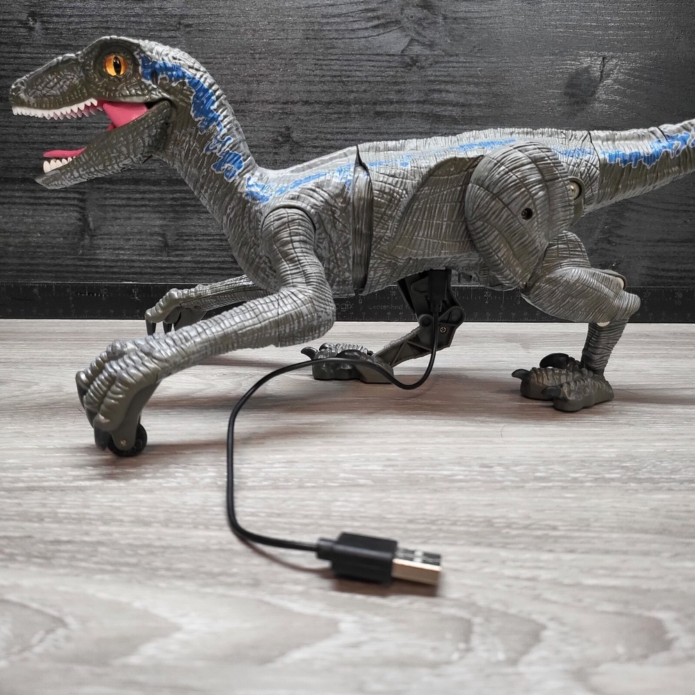Remote Controlled Raptor No Remote! Tested! - Picture 15 of 16